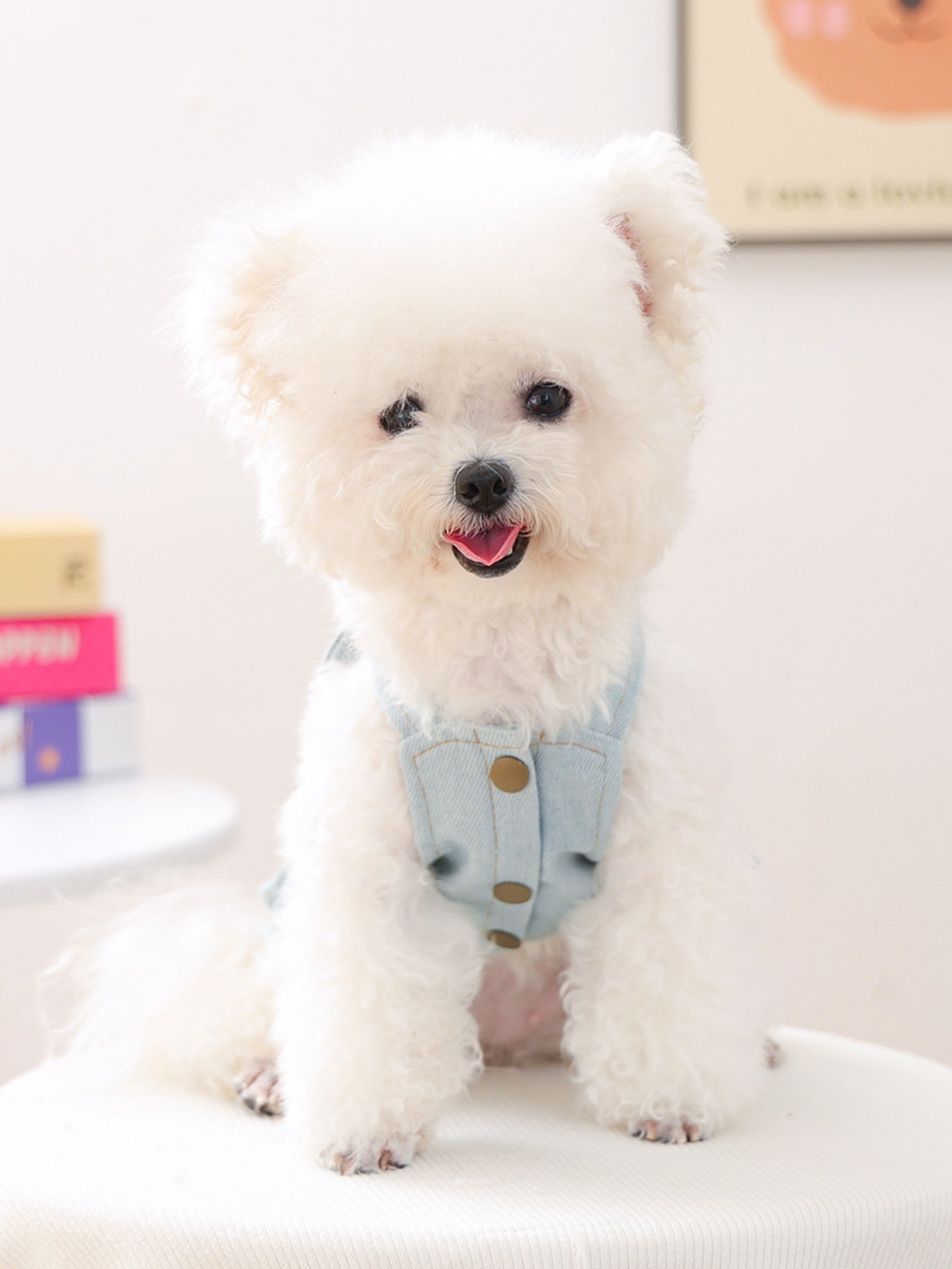 Denim dog dress ruffle trim detail