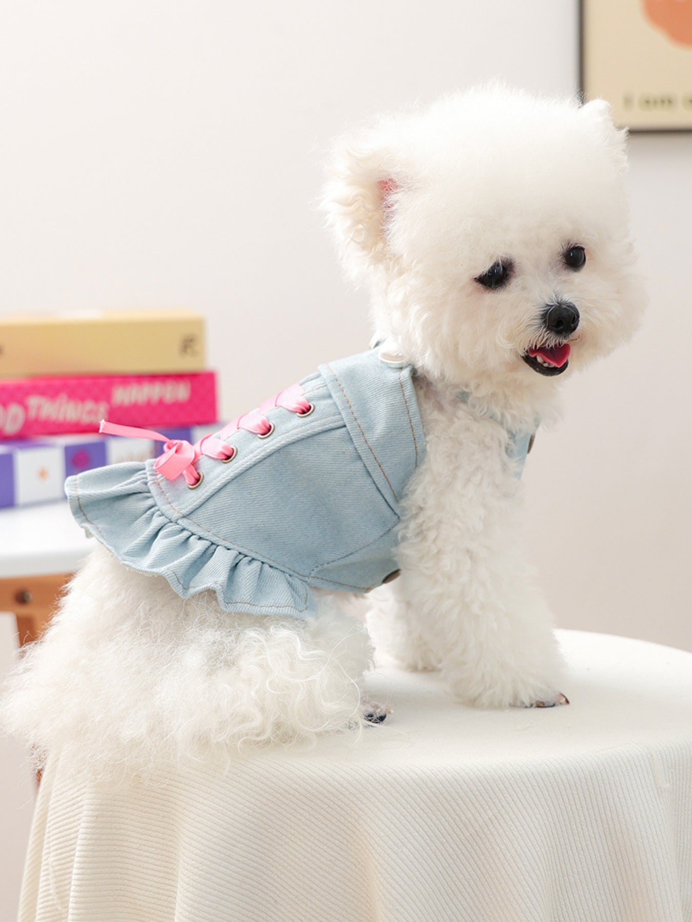 Denim pet dress bow accent close up