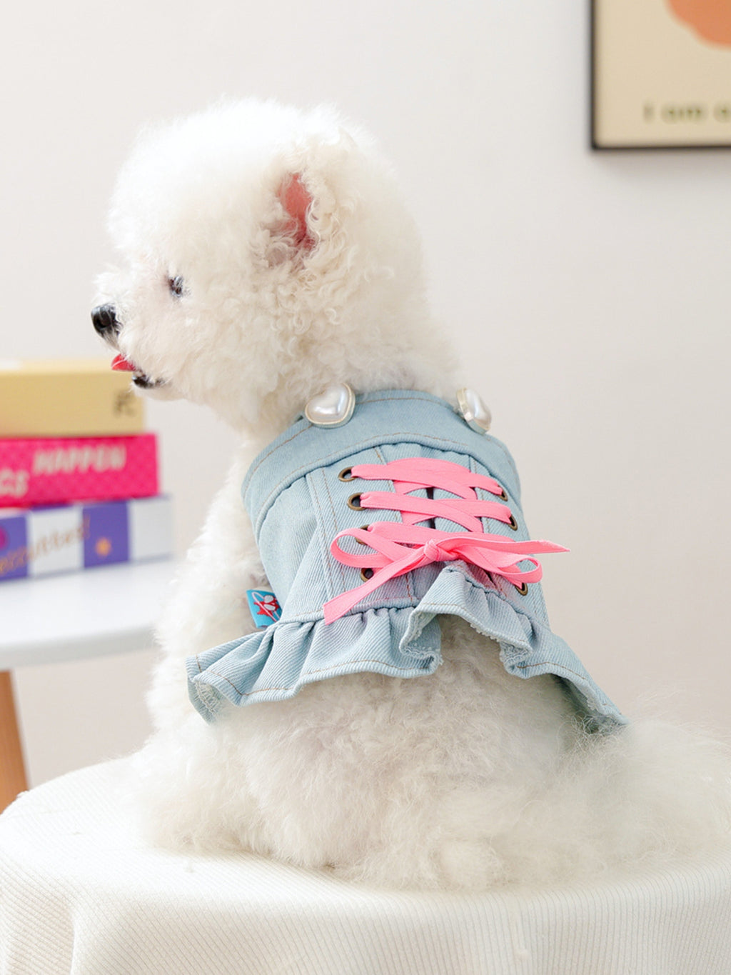 Denim lace up ruffle pet dress front view